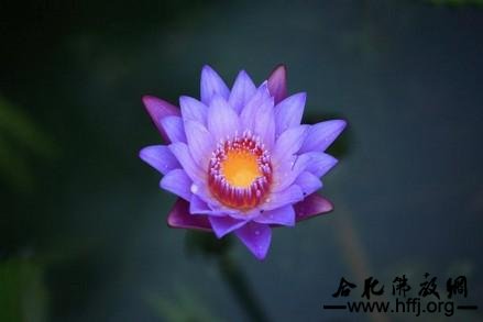 济群法师:世间万象差别都取决于众生心念